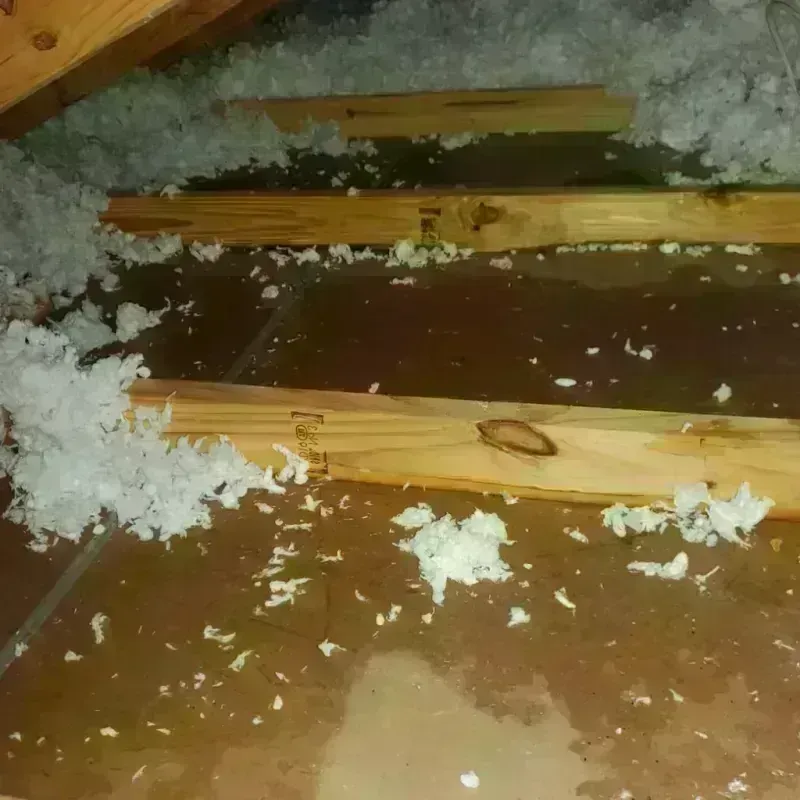 Attic Water Damage in Pineville, NC