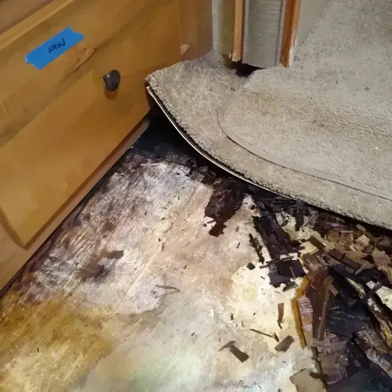 Best Wood Floor Water Damage Service in Pineville, NC